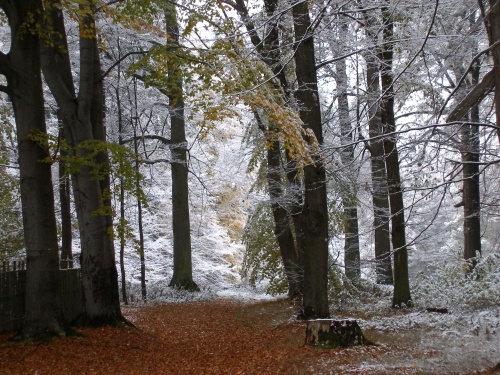 PA200025.jpg